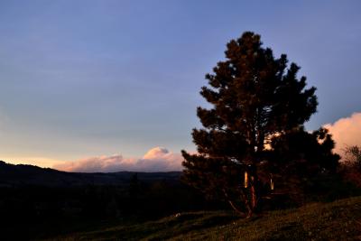 Прикрепленное изображение: DSC_0148.JPG